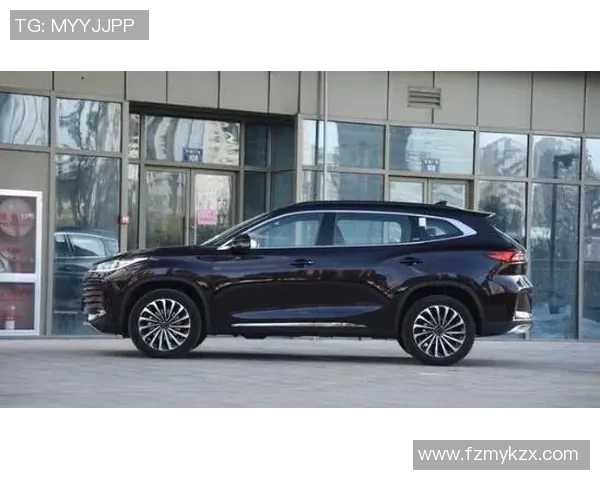 卖足球明星卡片的市场前景如何是否值得投资与收藏 卖足球明星卡片的市场前景如何是否值得投资与收藏